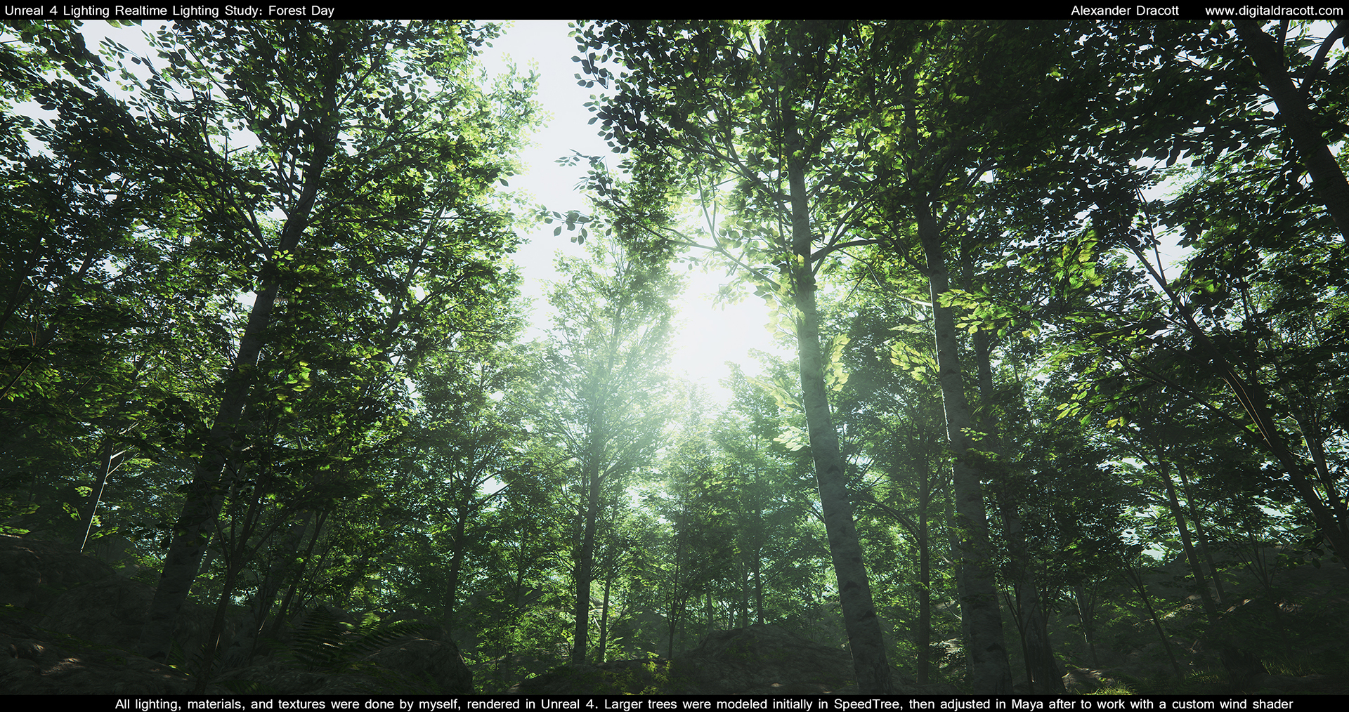 Forest_003.jpg